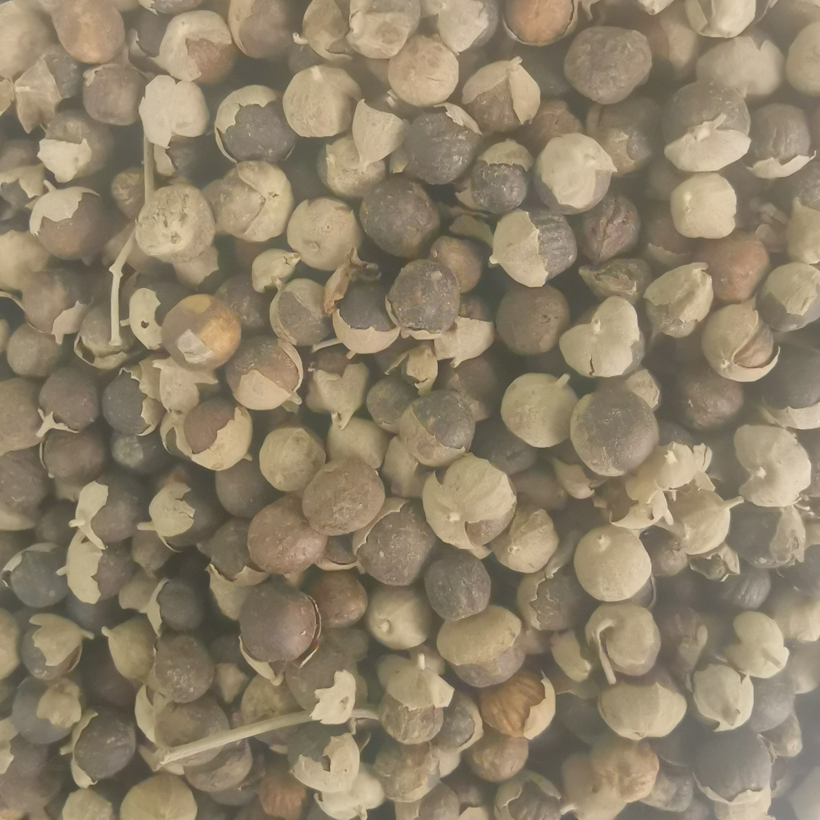 圣洁莓提取物